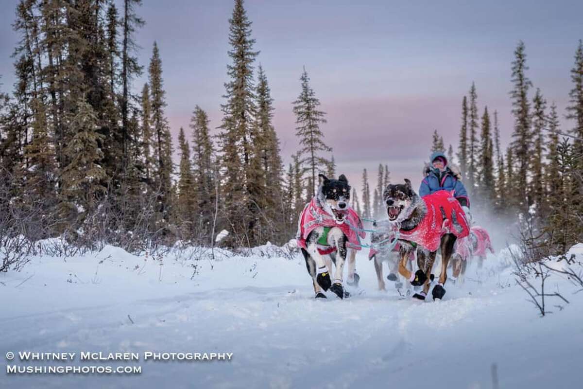 Shaynee Traska and her team of seven sled dogs are pictured on the path of the Copper Basin 300 in Alaska earlier this month.