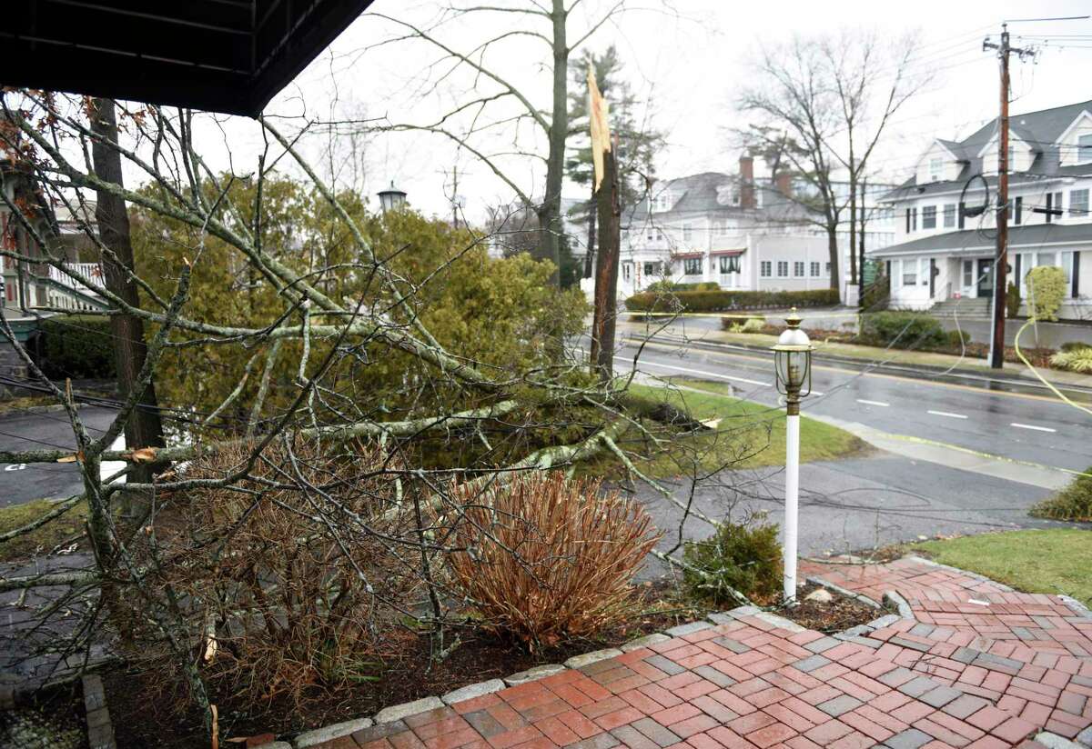 A tree knocks down power lines after a storm, causing the closure of Field Point Road in Greenwich, Conn. Monday, Jan. 17, 2022. A winter storm hit the area early Monday morning, leaving a small amount of snow, followed by rain and eventually sunshine. The storm caused minor flooding and downed trees.
