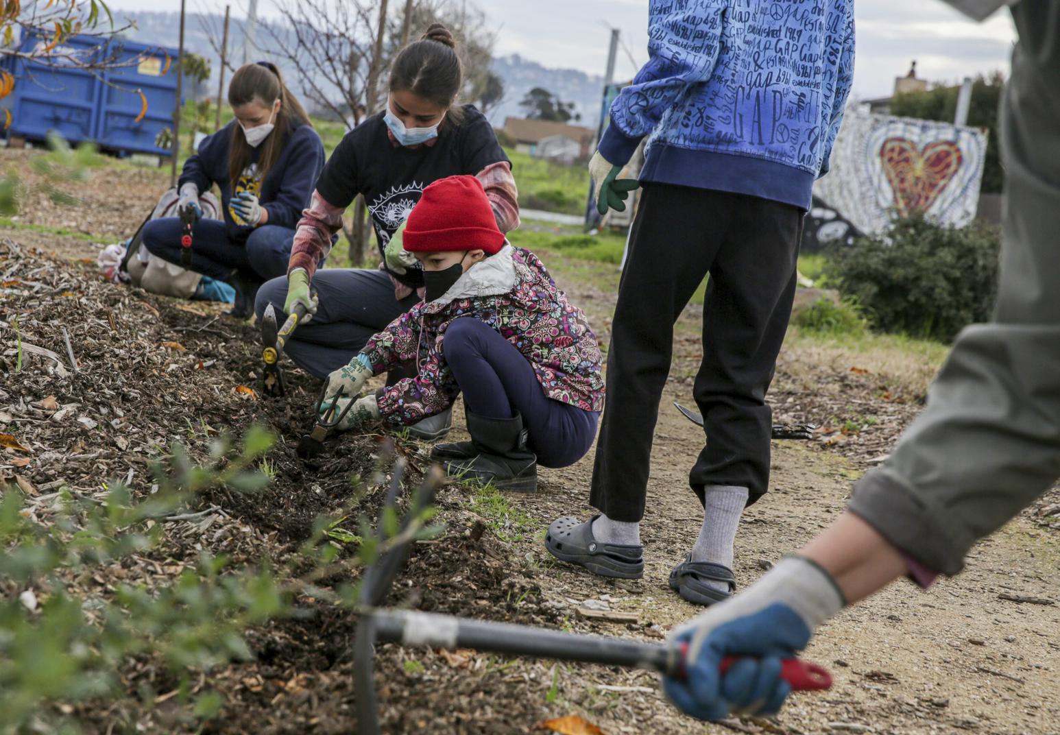'Folks of all backgrounds coming together.' Bay Area events honor Martin Luther King Jr. - Vimarsana News
