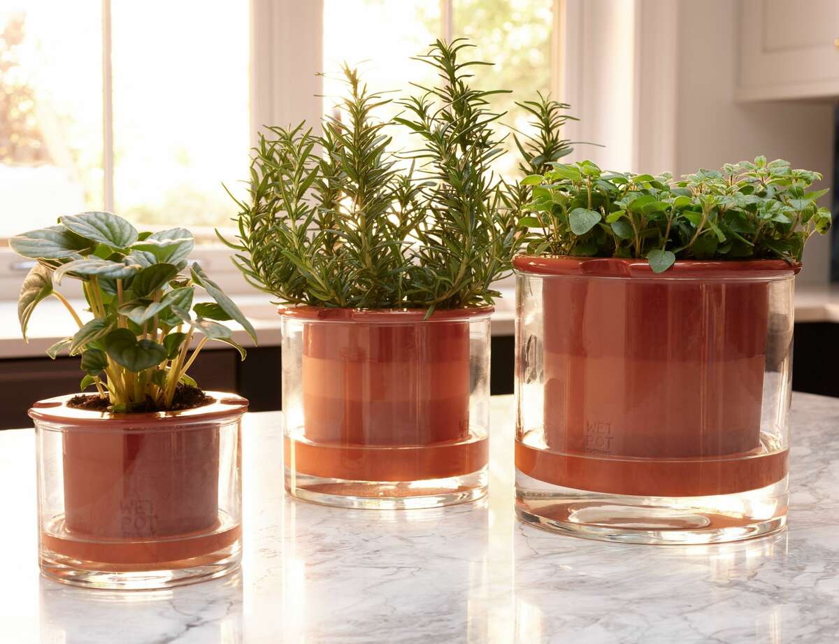 Company Wetpot's self-watering pot makes sure you don't over- or under-water your plant. A terra cotta planter sits inside a reservoir of hand-blown glass; fill the reservoir, and plants will take in what they need.