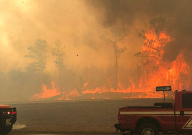 'Very active' wildfire evacuates residents in Bastrop County - Vimarsana News