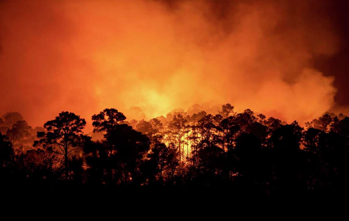 A wildfire burns out of control Tuesday evening at Bastrop State Park in Bastrop. The wildfire in a Central Texas state park forced the evacuation of dozens of homes Tuesday — the site of a deadly blaze more than a decade ago — and officials said a prescribed burn may be to blame.