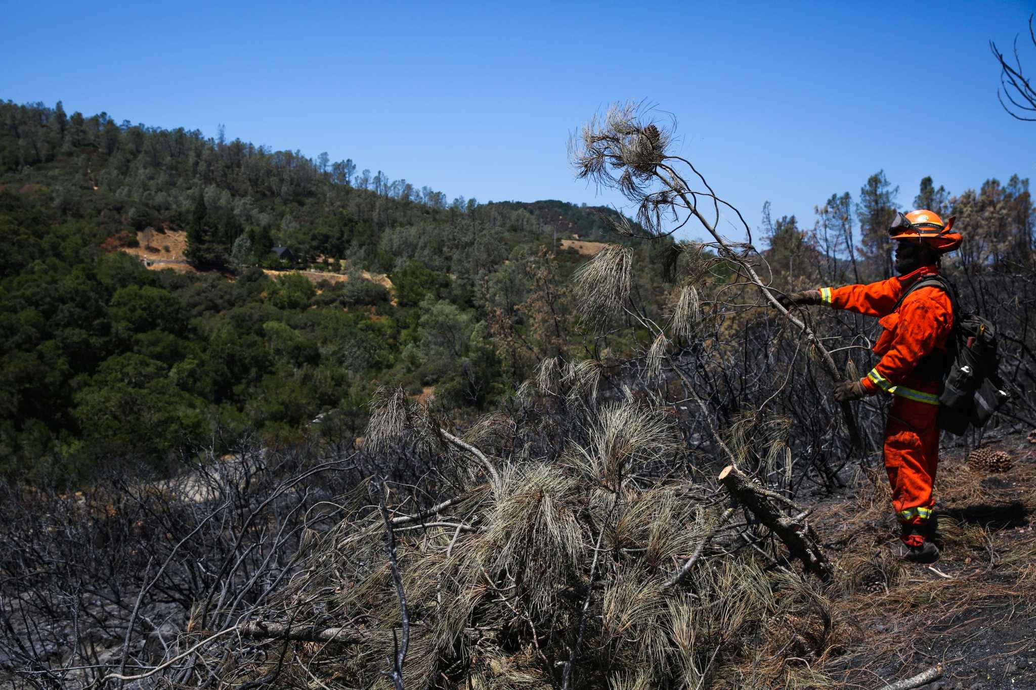 Biden Administration pledges billions to fight wildfire crisis in California and across the West - Vimarsana News