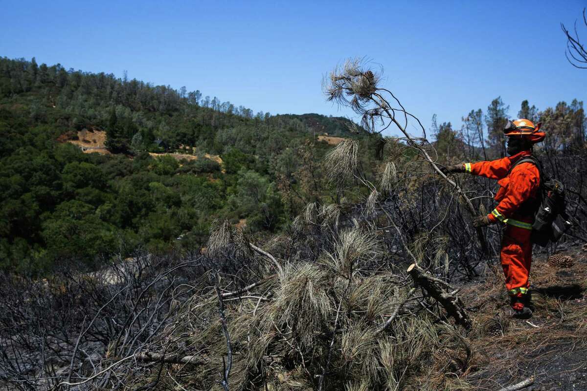 An inmate from the Delta Conservation Camp #8 clears brush while mopping up the Canyon Fire in Napa in 2017.