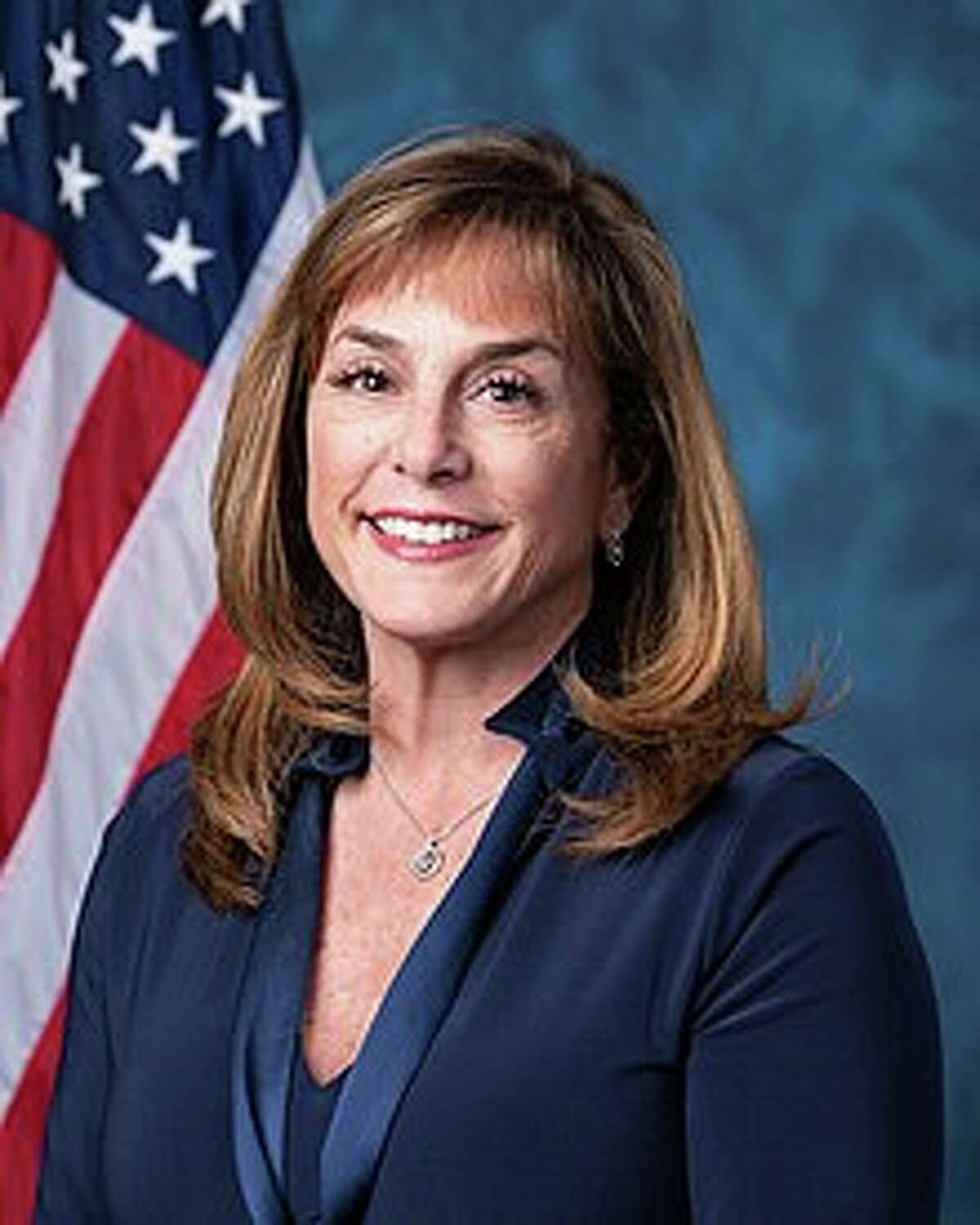 Rep. Lisa McClain