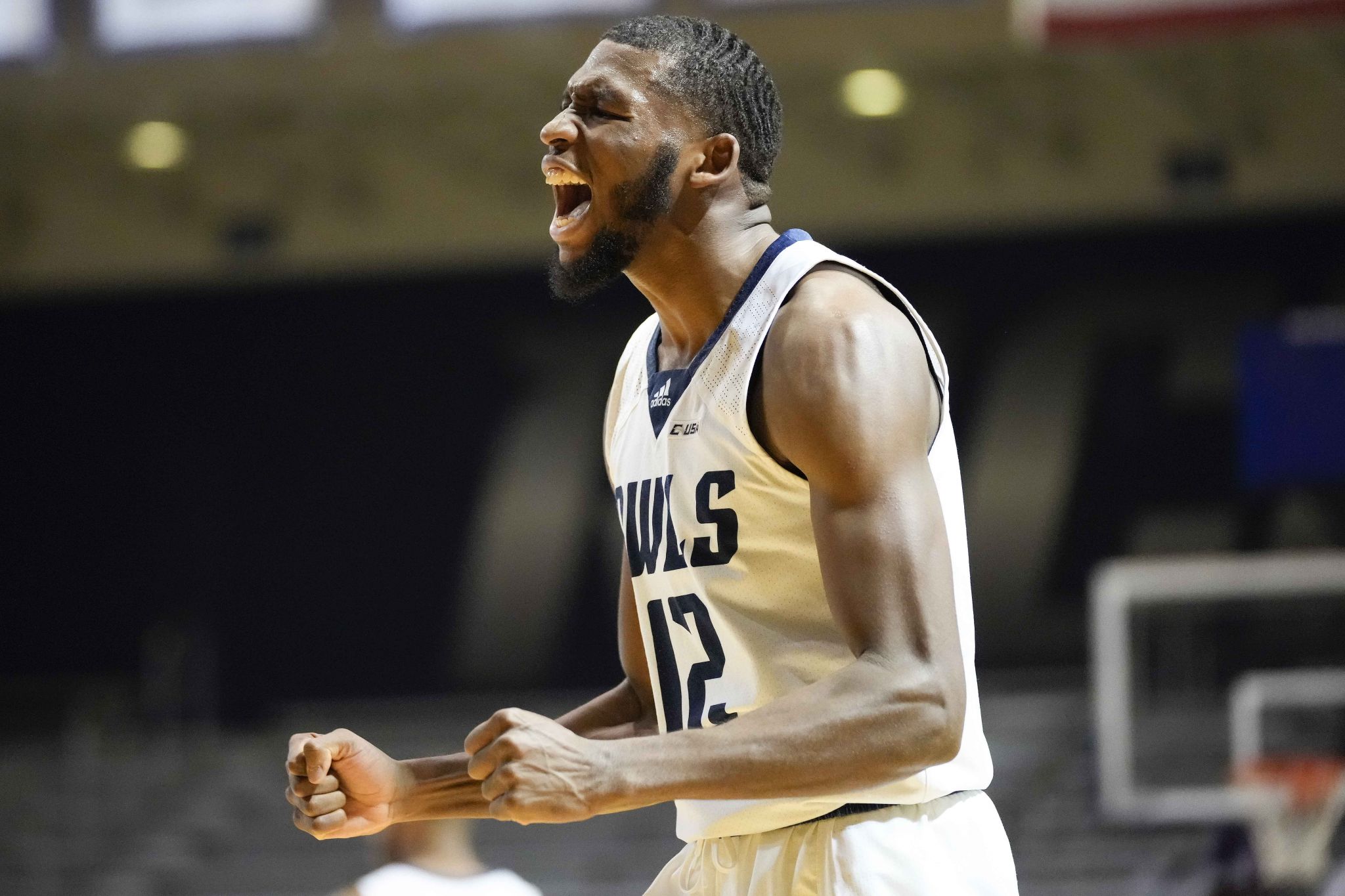 Carl Pierre, Quincy Olivari carry Rice past Southern Miss