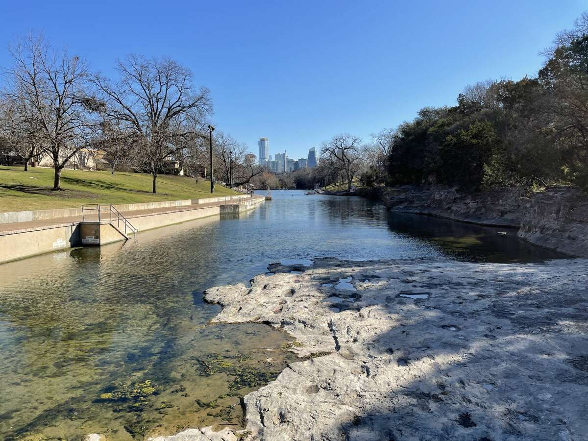 A view of downtown Austin from the shallow end at Barton Springs.