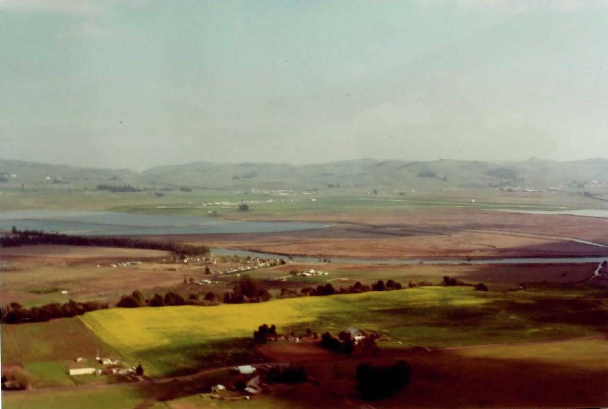 Molnar's land in Carneros in 1973, before he planted Pinot Noir and Chardonnay there.  Molnar first called his site the Chardonnay vineyard;  his children later convinced him to change the name to the less generic Poseidon Vineyard.