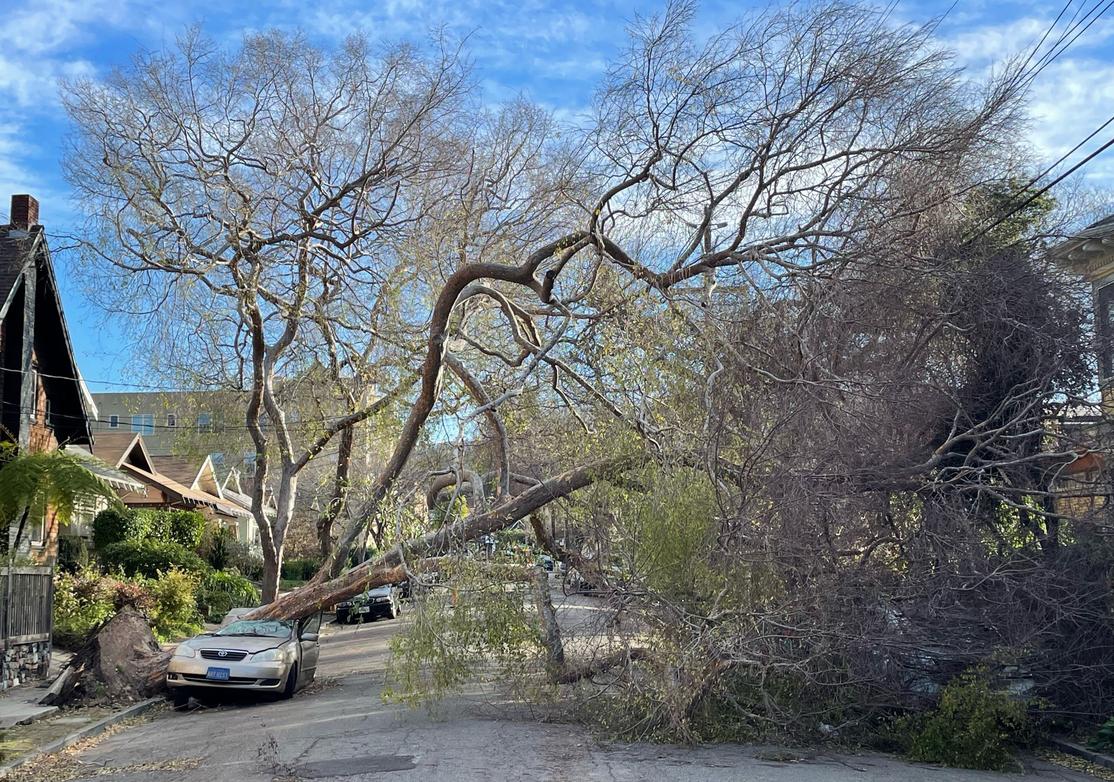 Thousands of Bay Area customers lose power as high winds approach 100 mph