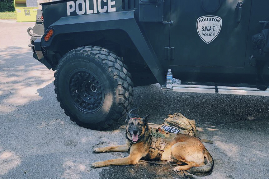 Houston police dog stabbed Saturday morning after catching suspected ...