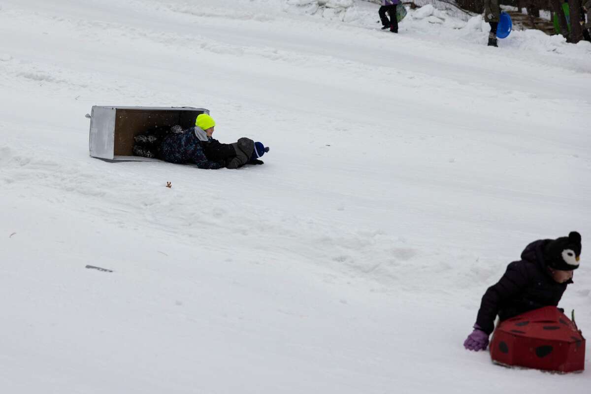 Participants of the Cardboard Sled Races slide towards the finish line, Saturday, Jan. 22, 2022, at Midland City Forest. (Drew Travis/for the Daily News)