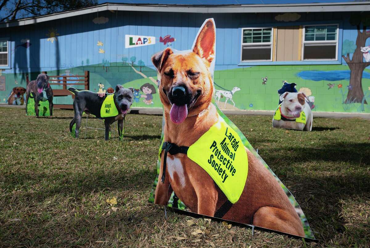 Laredo animal shelter raises funds in Betty White challenge