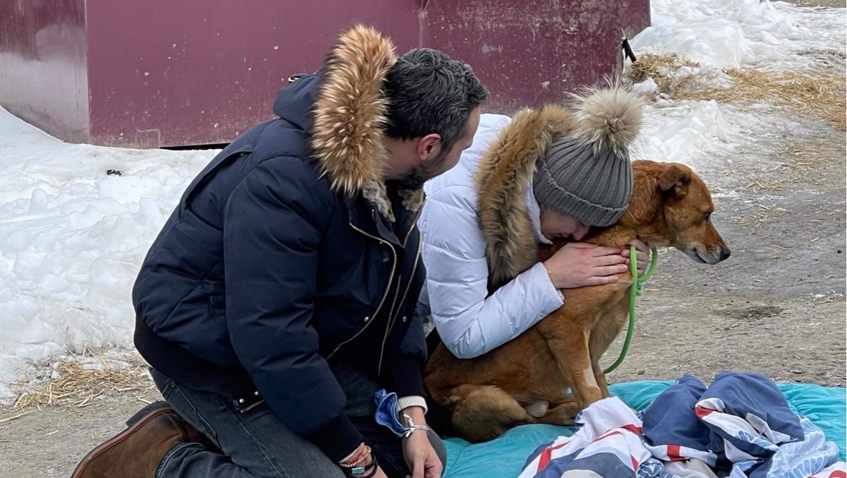 Missing dog reunited with family after 7 months - Vimarsana News