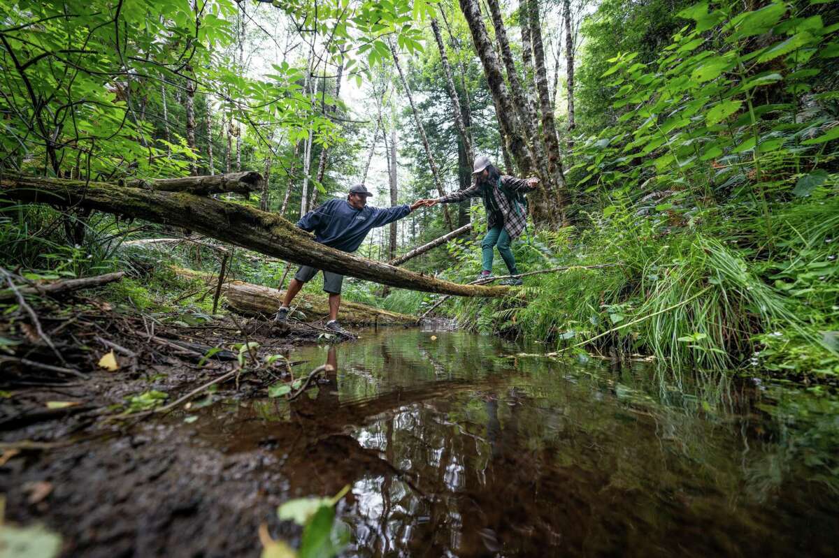 An Important Victory Native American Tribes Reclaim A Redwood Forest In Northern California