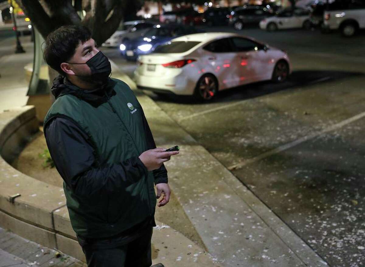 Sunnyvale Parks employee Erick Delgadillo shines a laser to disperse crows.
