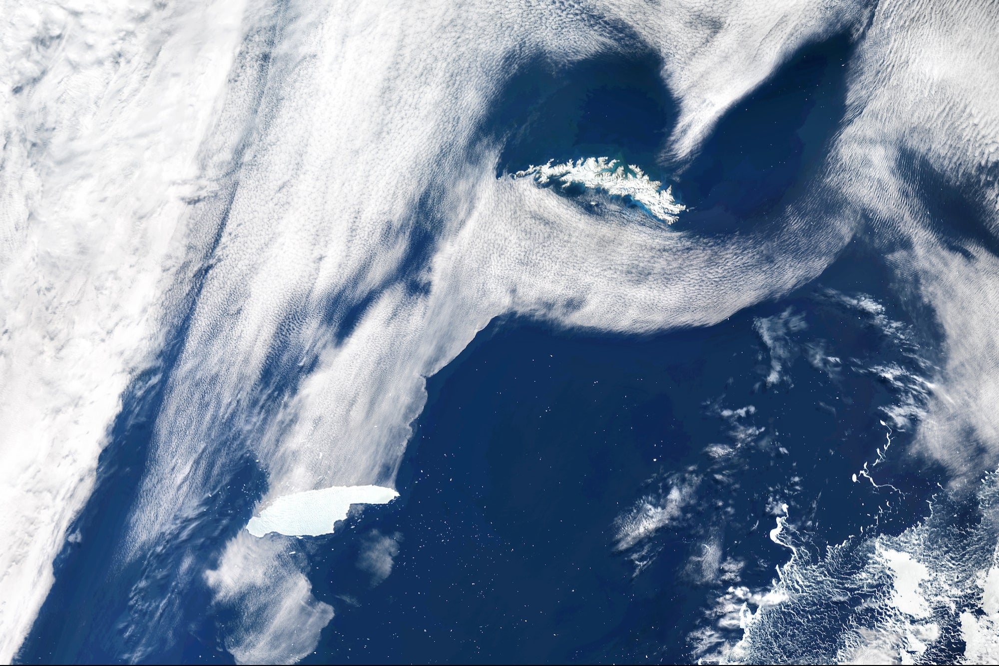 Report: Mega Iceberg Melting Dumps 152 Billion Tons of Water Into Ocean, Could Have 'Devastating' Effects on Environment - Vimarsana News