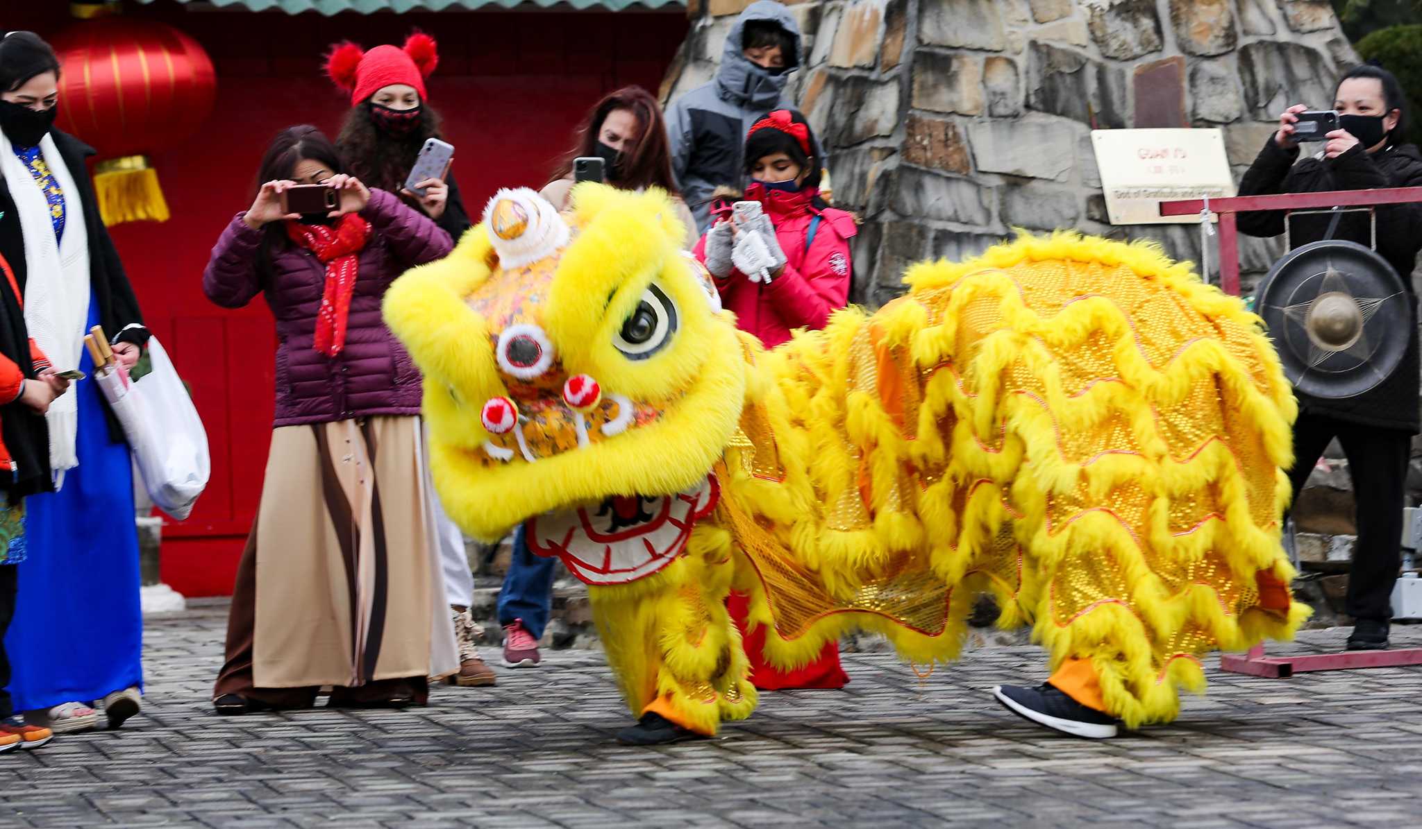 Why did Houston's Tokyo Night Festival ditches Lucky Land?