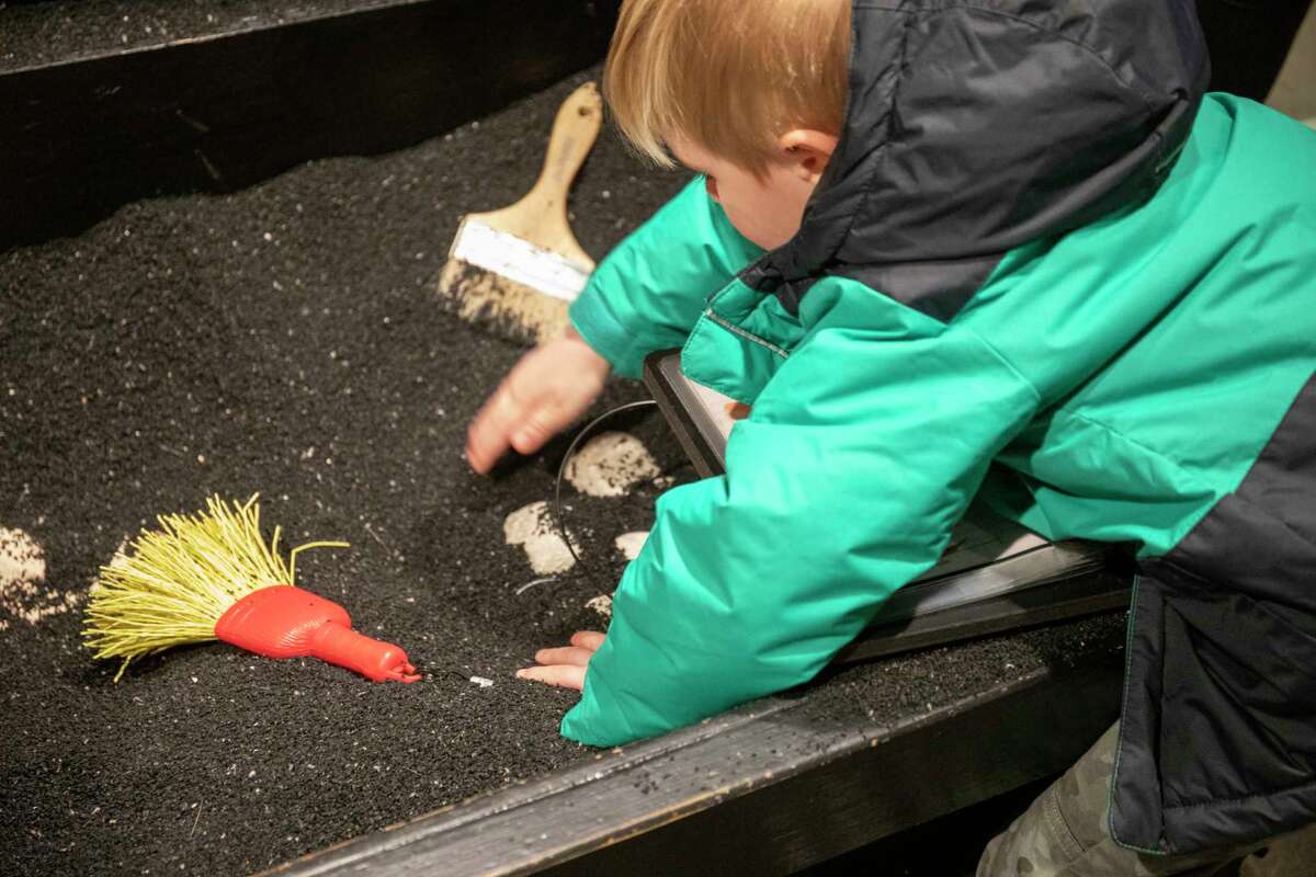 Kids can test their dinosaur knowledge with Dinosaur Revolution exhibit