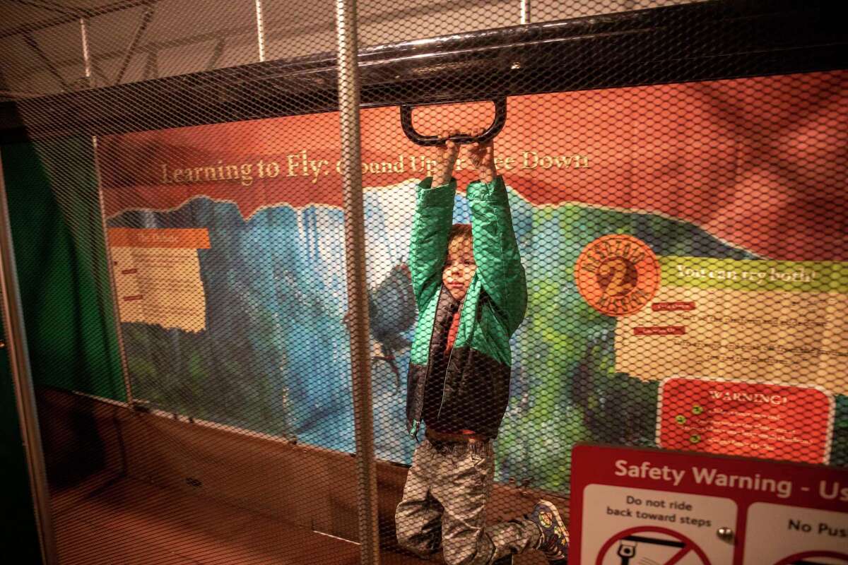 Kids can test their dinosaur knowledge with Dinosaur Revolution exhibit