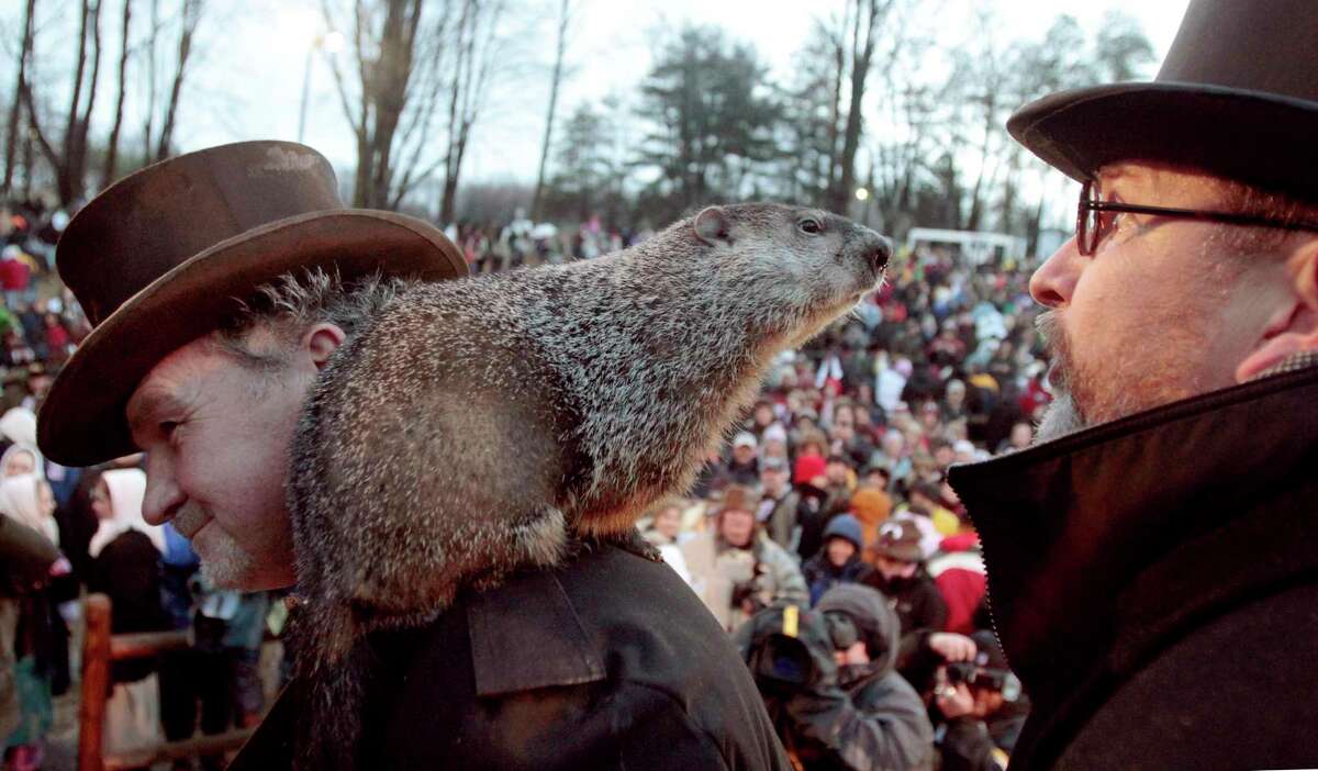 Punxsutawney Phil, the weather predicting groundhog, center, stands on the shoulder of one of his handlers John Griffiths while looking at other handler Ben Hughes, after the Groundhog Club claimed that Phil did not see his shadow and winter has ended on Groundhog Day, Wednesday, Feb. 2, 2011, in Punxsutawney, Pa. (AP Photo/Keith Srakocic)
