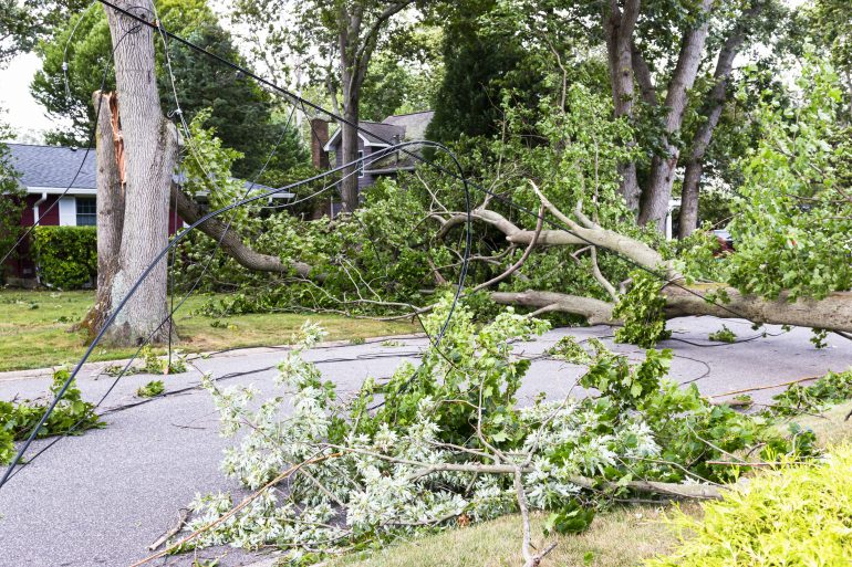Prepare Your Business Finances Now in Case of a Natural Disaster - Vimarsana News