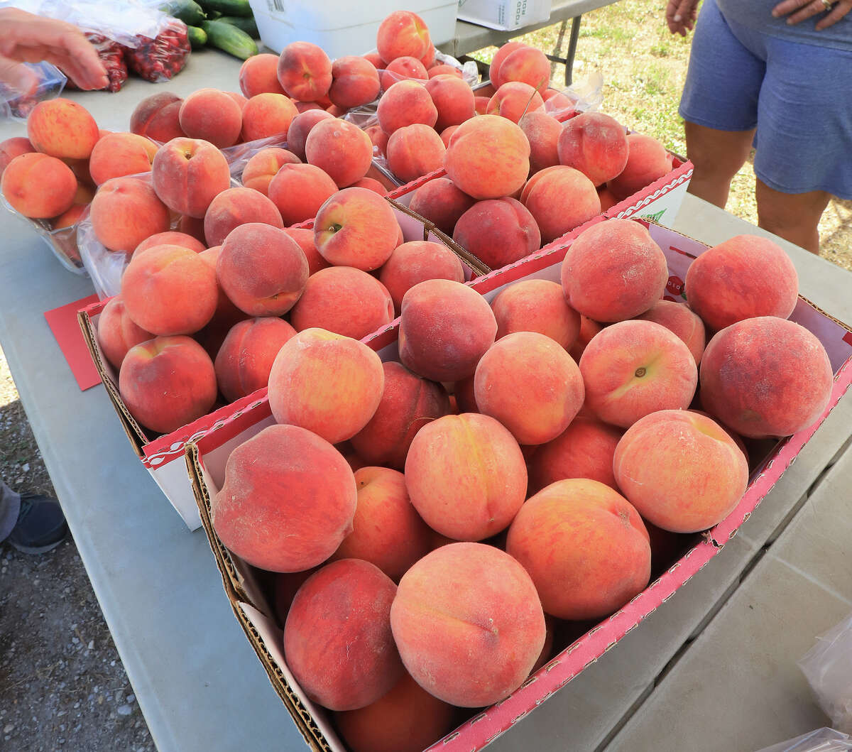 Fruit talk set Feb. 8 in Hardin