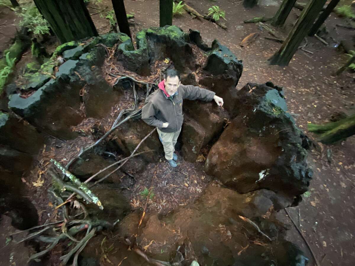 Scout and filming location manager Rowdy Kelley stands in a backdrop used in "Woodshock" with Kirsten Dunst.