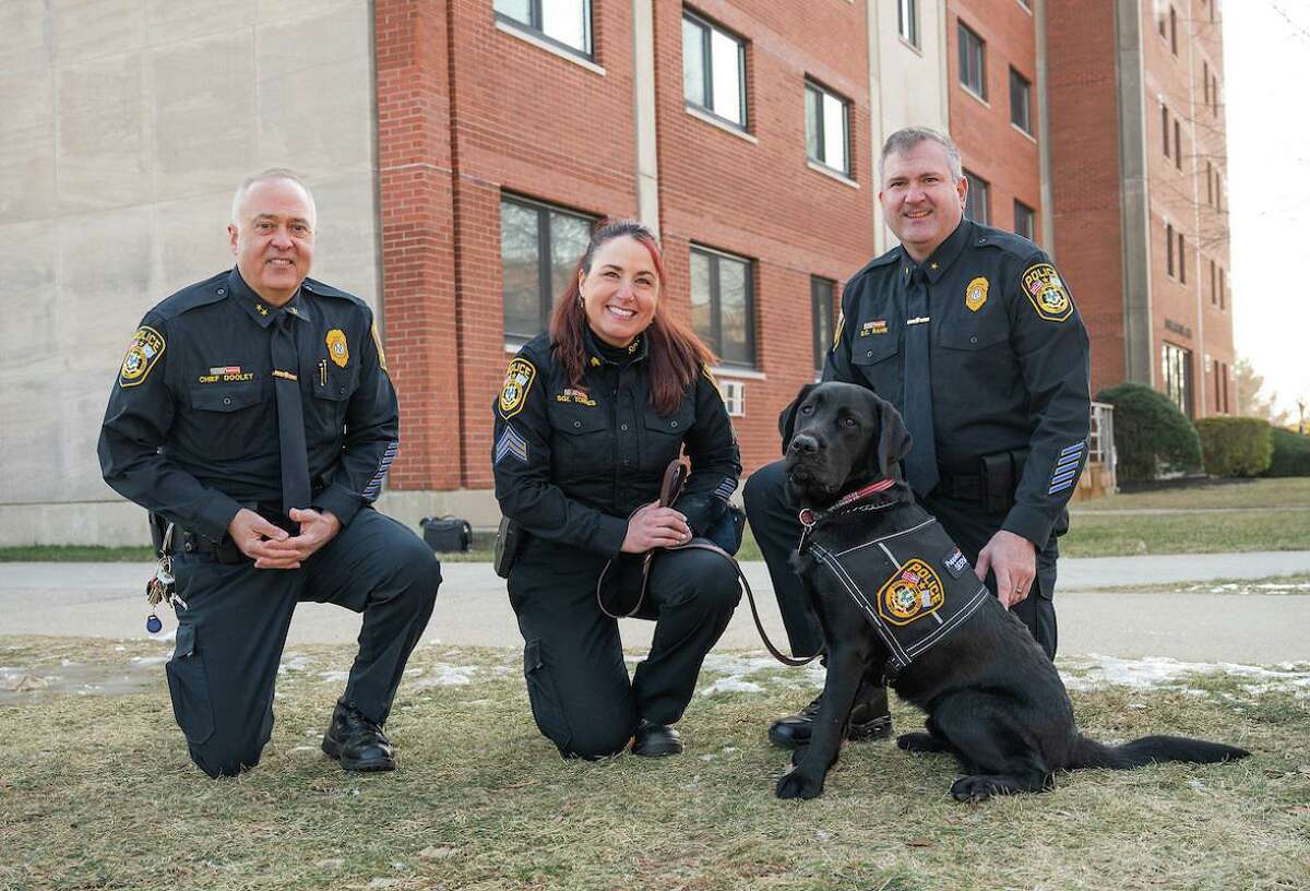 From left to right, Southern Connecticut State University Police chief Joseph Dooley, SCSU police Sgt, Cynthia Torres, Deputy Chief Ken Rahn and the department's newest K9 member, Jules.
