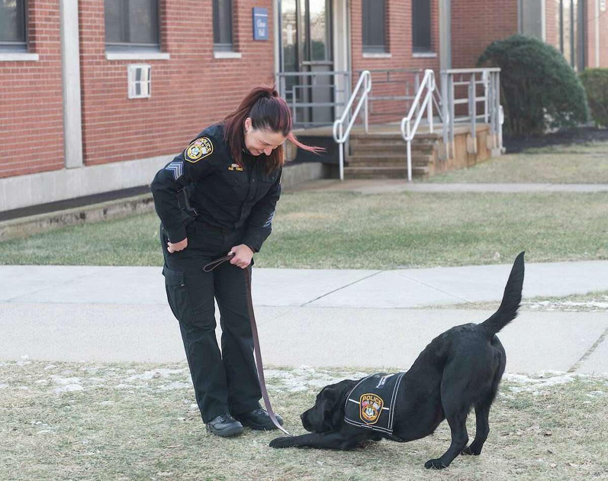 SCSU police department’s newest member is known for his ‘sensitivity