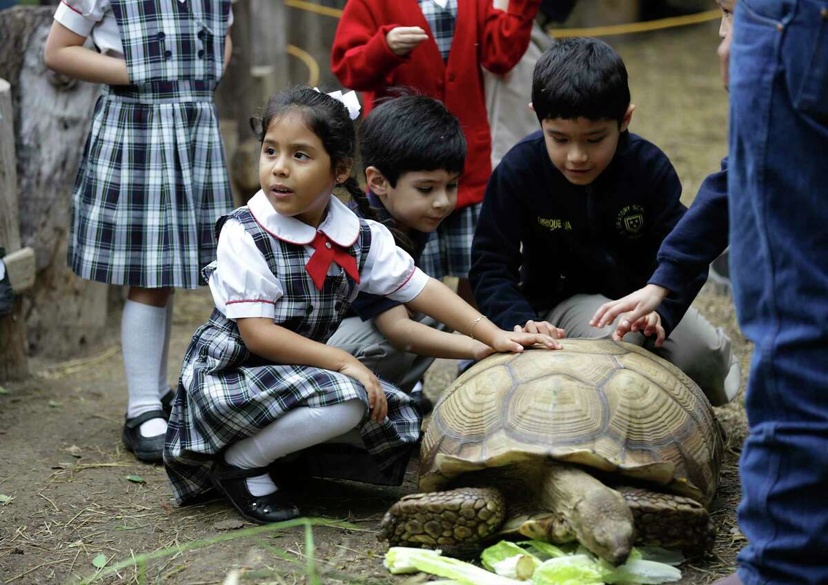 Raelyn Jo Cardenas, left, a student from Pharr Oratory School of St. Phillip Neri in Mission, touches an African turtle during a 2019 tour with fellow students at the National Butterfly Center. The center was closed this weekend in the wake of aconfrontation between the center’s executive director and a Republican congressional candidate from Virginia.