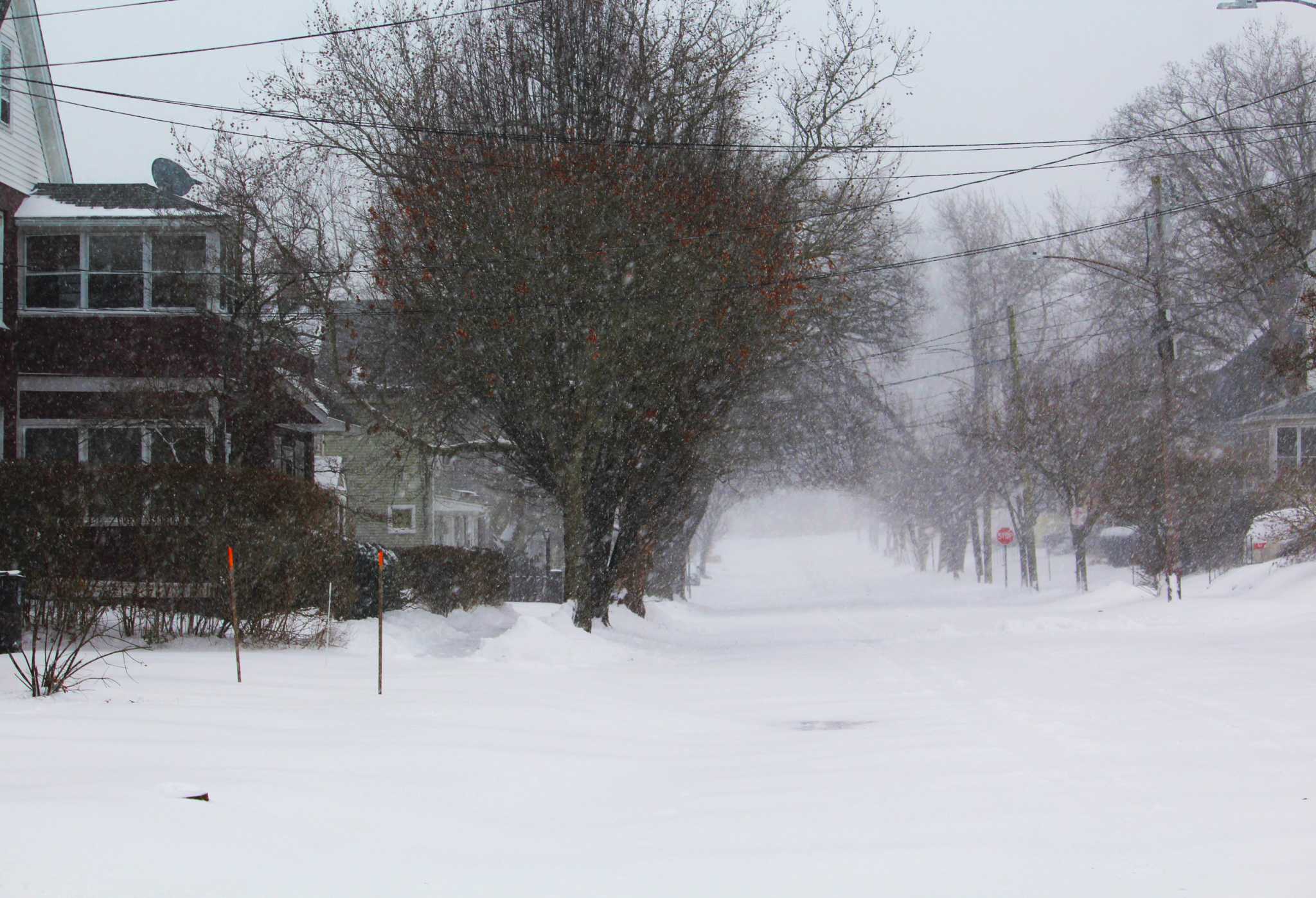 Live updates: CT registers nearly 45 mph wind gusts in nor'easter - Vimarsana News