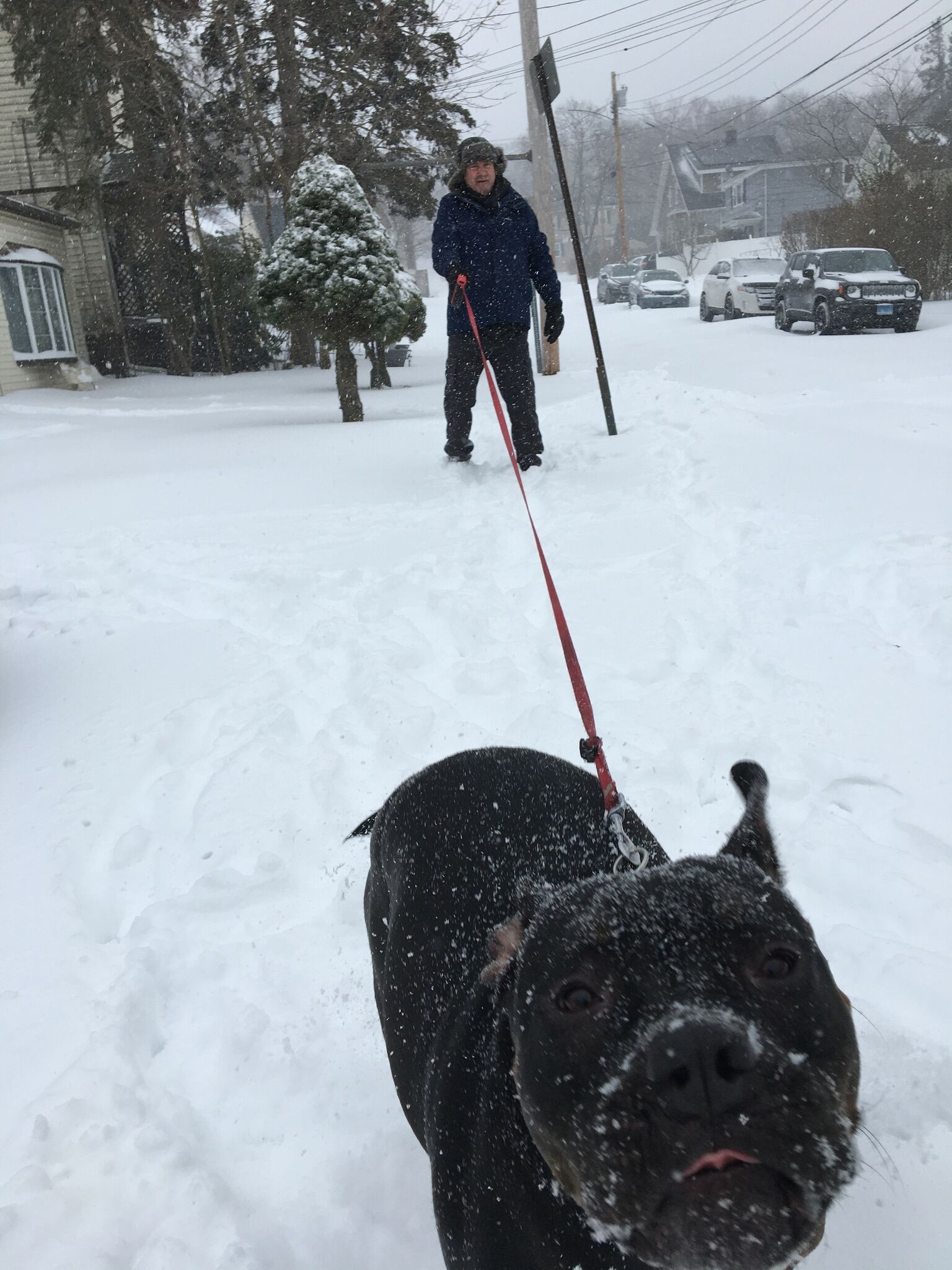 How much snow did Connecticut get? - Vimarsana News
