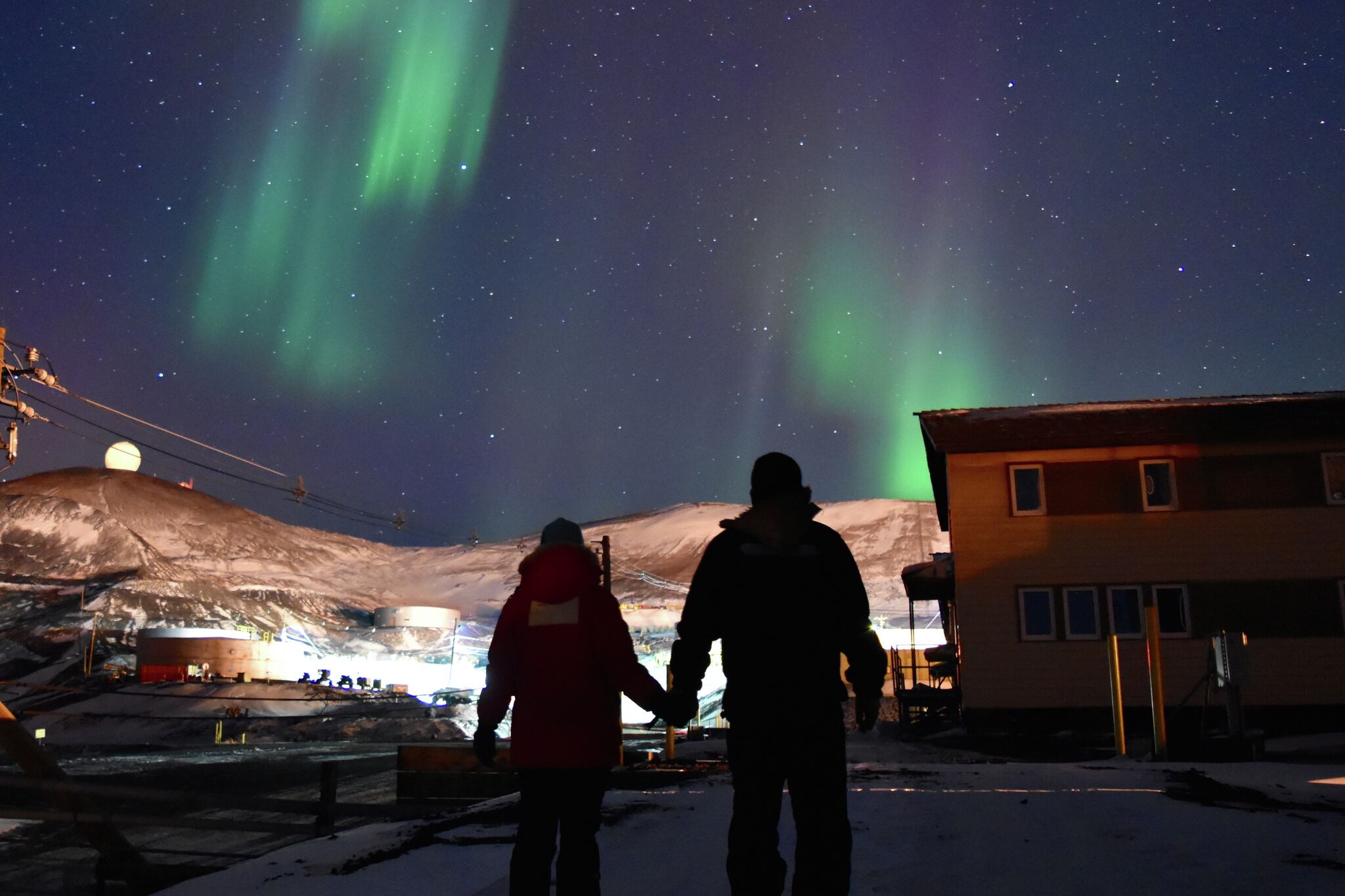 Albany couple Nicole McGrath and Cole Heinz found love among the penguins of Antartica - Vimarsana News