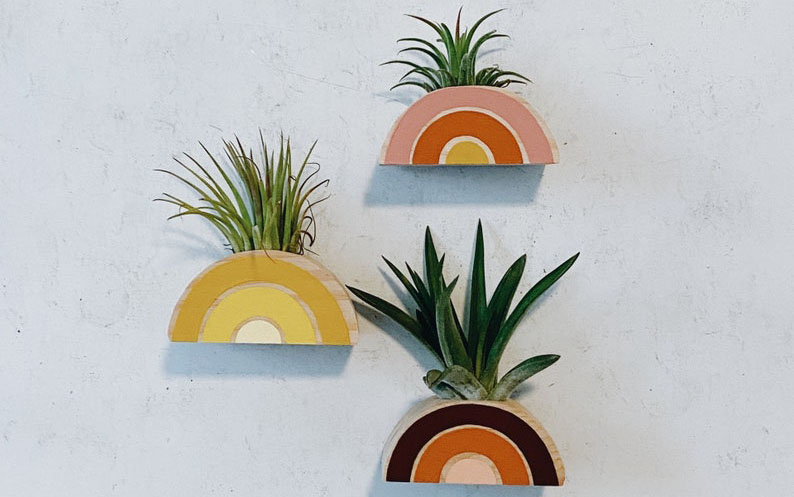 pot for plants indoor ZZ Plant - Large (2-3' tall) Cement Grey Planter