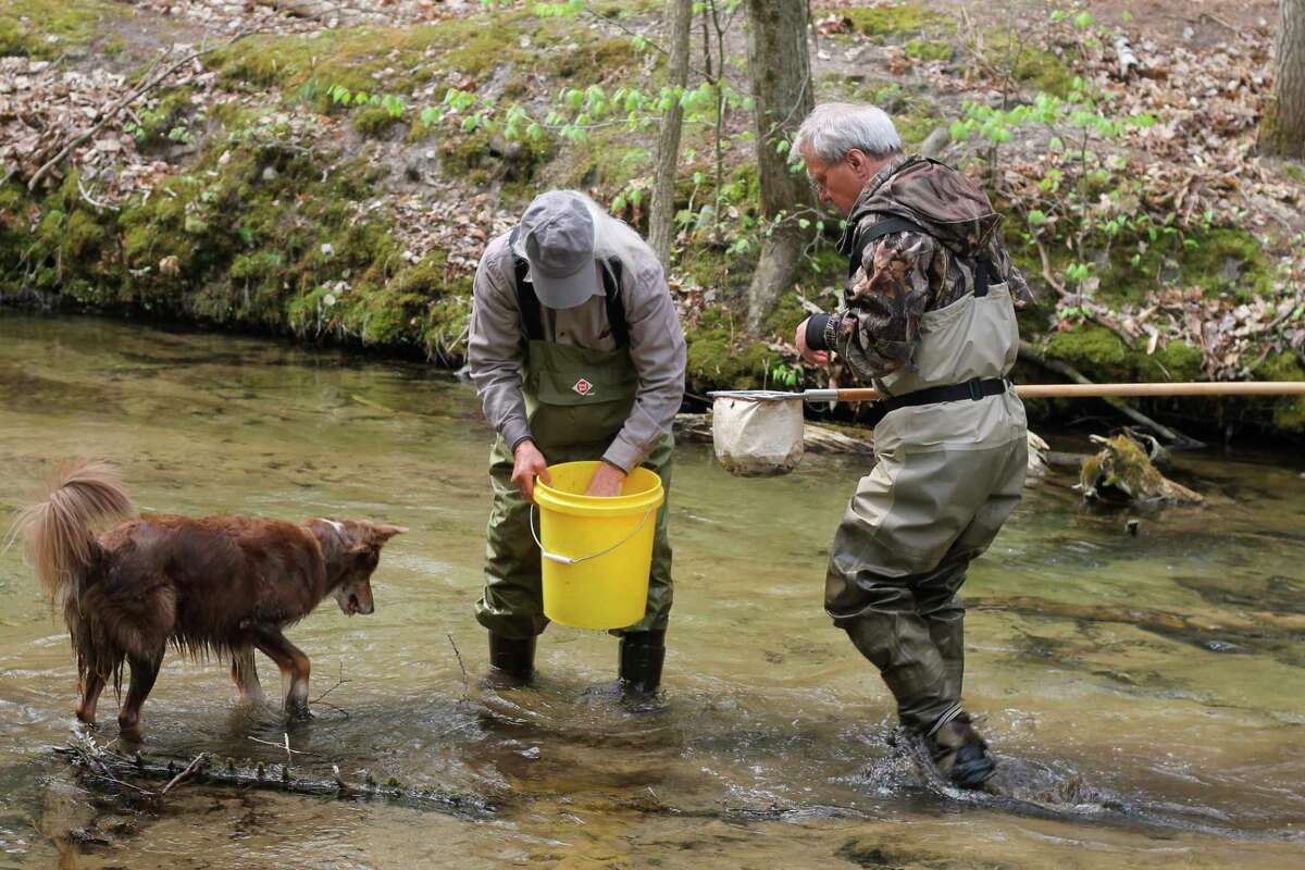 In this file photo, Dick Rogers (left) and Armas Soorus collect macroinvertebrates on May 15 to help determine water quality in the Lower Manistee River Watershed as part of the Manistee Conservation District's volunteer stream monitoring program.