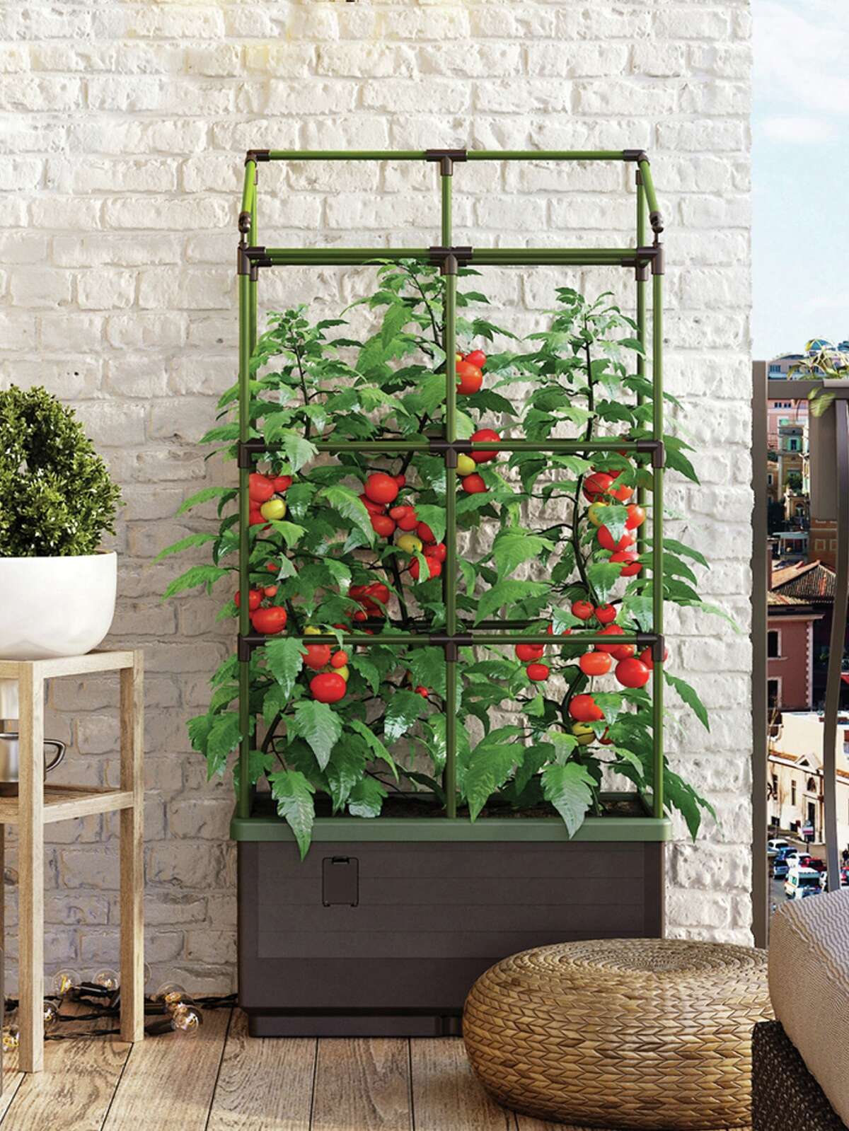 Growing a vegetable garden vertically in a compact space can be easy, whether on a balcony or a patio. 