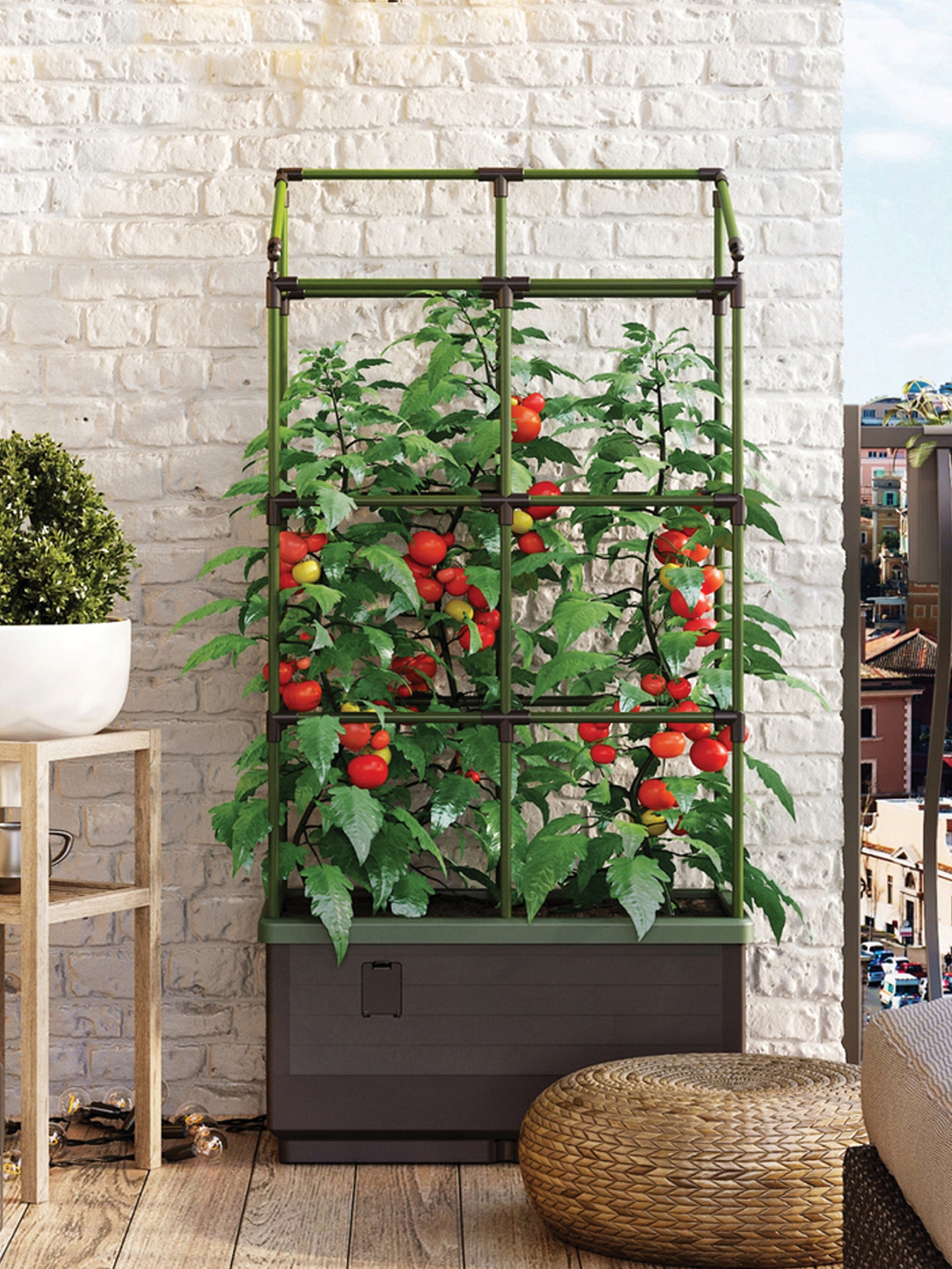 Vertical gardening maximizes beauty, harvest - Vimarsana News