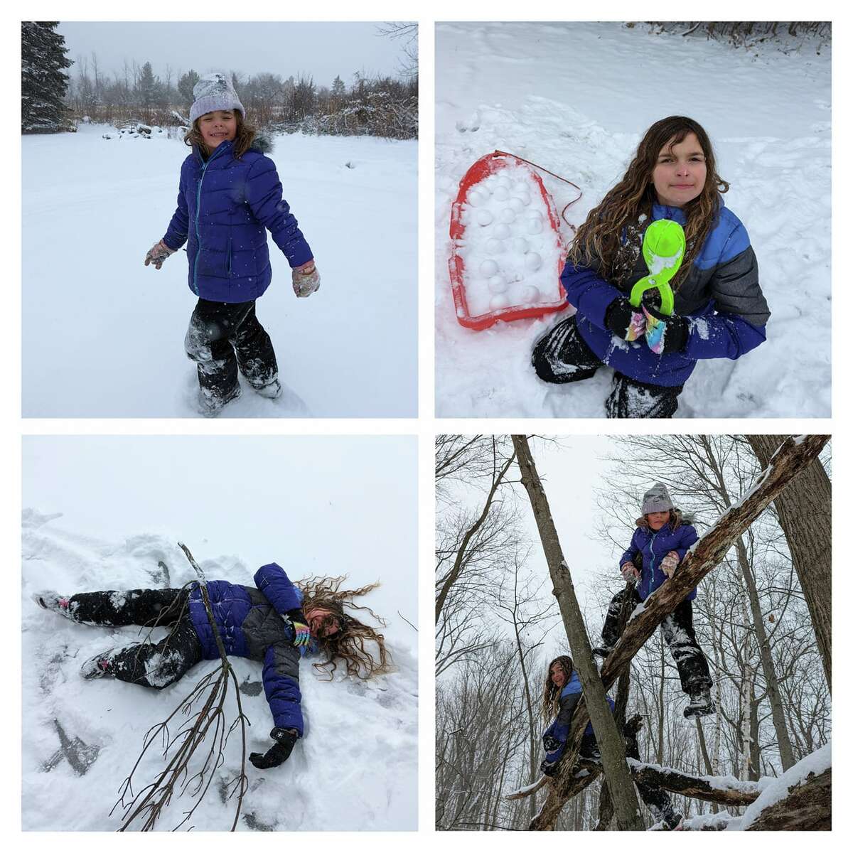 Danielle Liphard shared photos from Wednesday's snowfall, as most Midland area children had the day off of school due to weather conditions.  