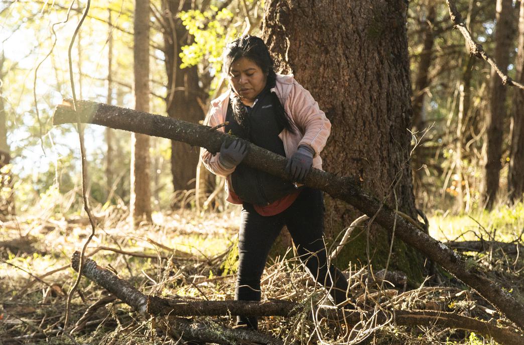 Sonoma vineyard workers fight for safety ahead of fire season. It's an uphill battle - Vimarsana News