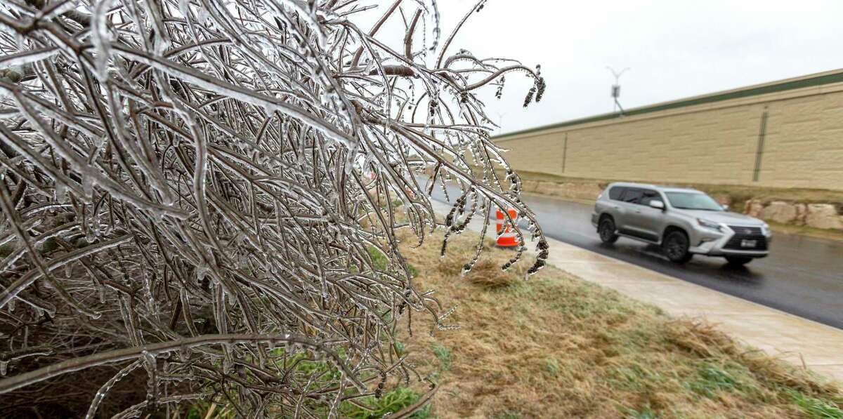 Ice accumulates on plants along a Texas highway.