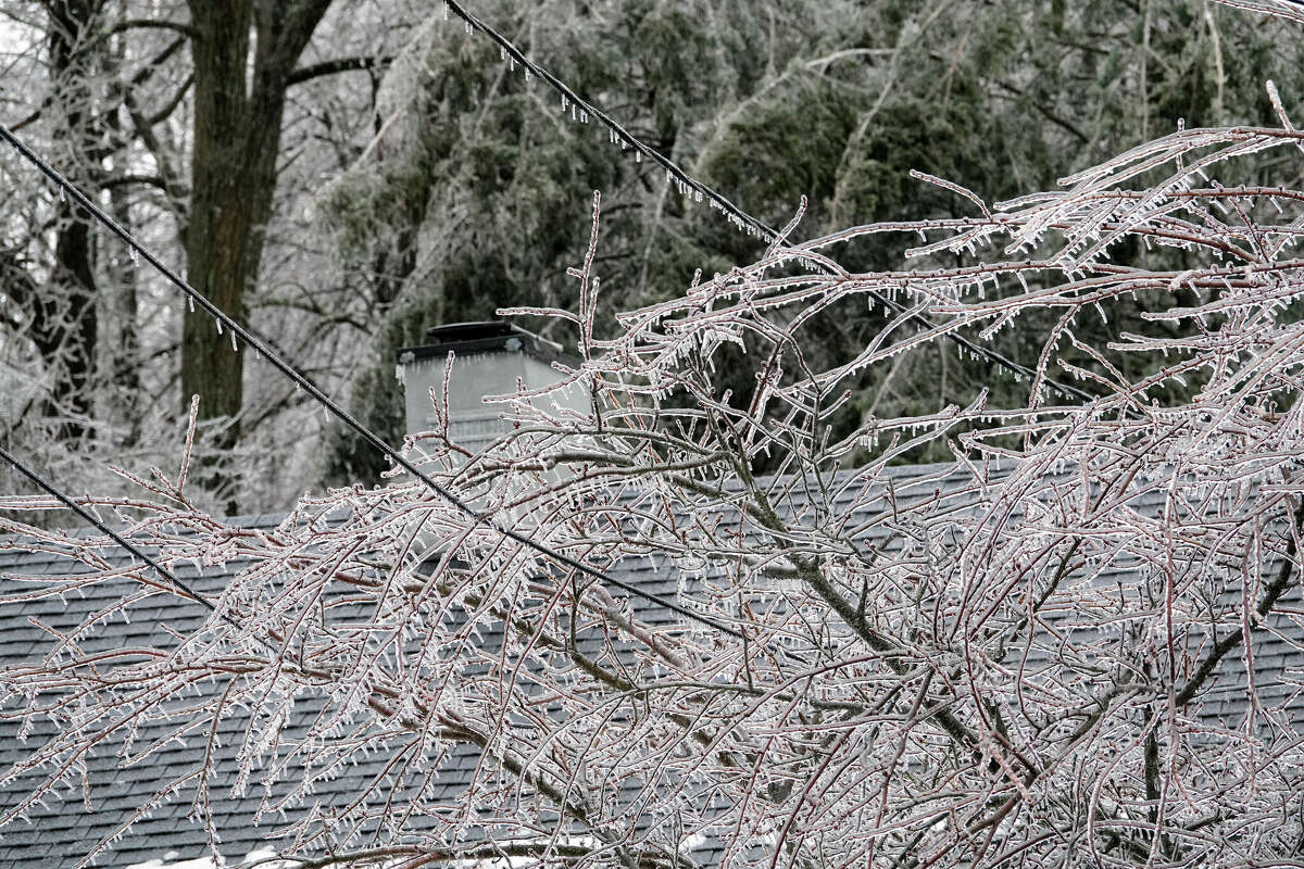 Icy tree limbs weigh on power lines in Kingston, New York.