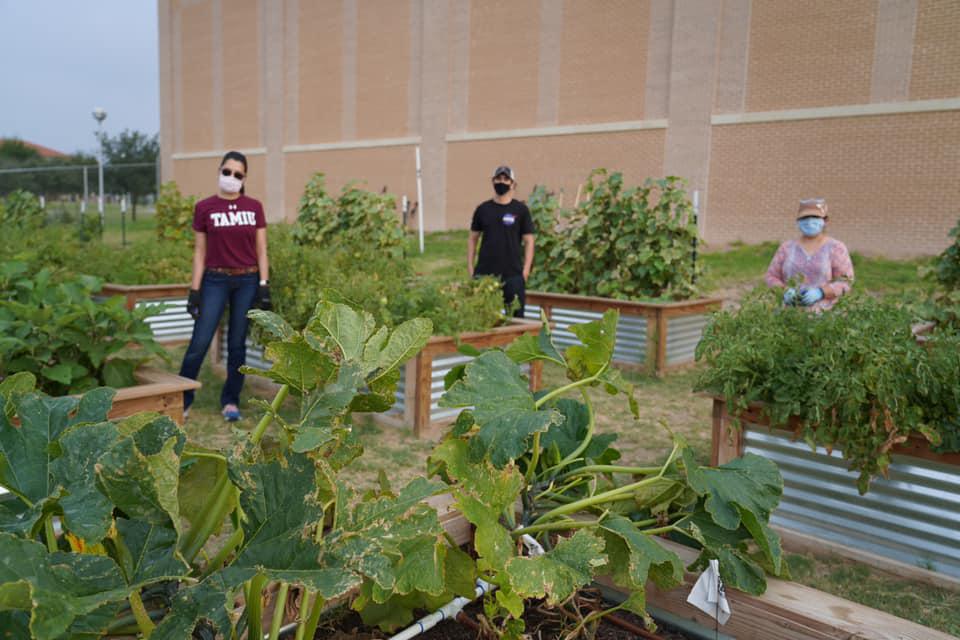 Gardeners prepare for freeze - Vimarsana News