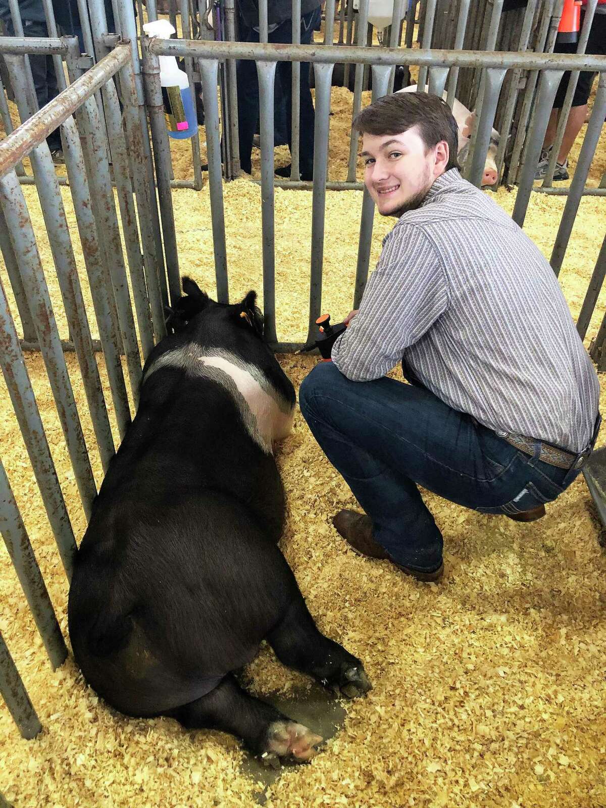 Brandon East in the pen with his pig Koe. The 288-pound pig didn’t make auction and his plight has yet to be decided.