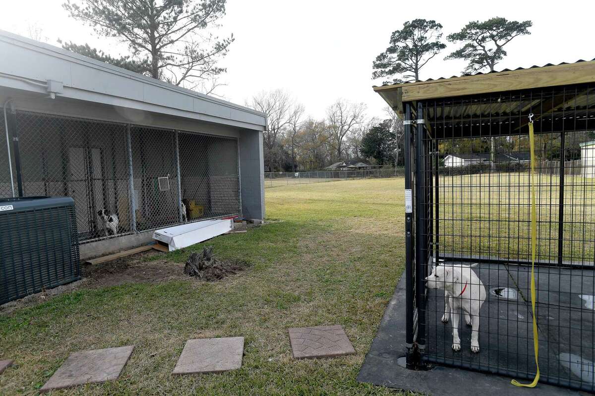 Beaumont Pets Alive returns to Beaumont