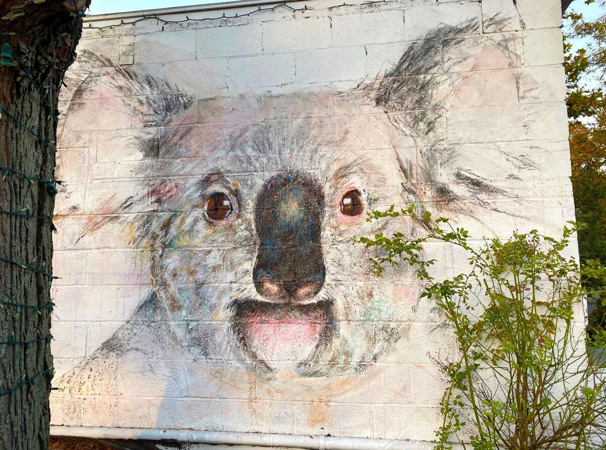 A mural of a koala Jana Ireijo made for 'Vanishing Species, Vanishing Murals.'