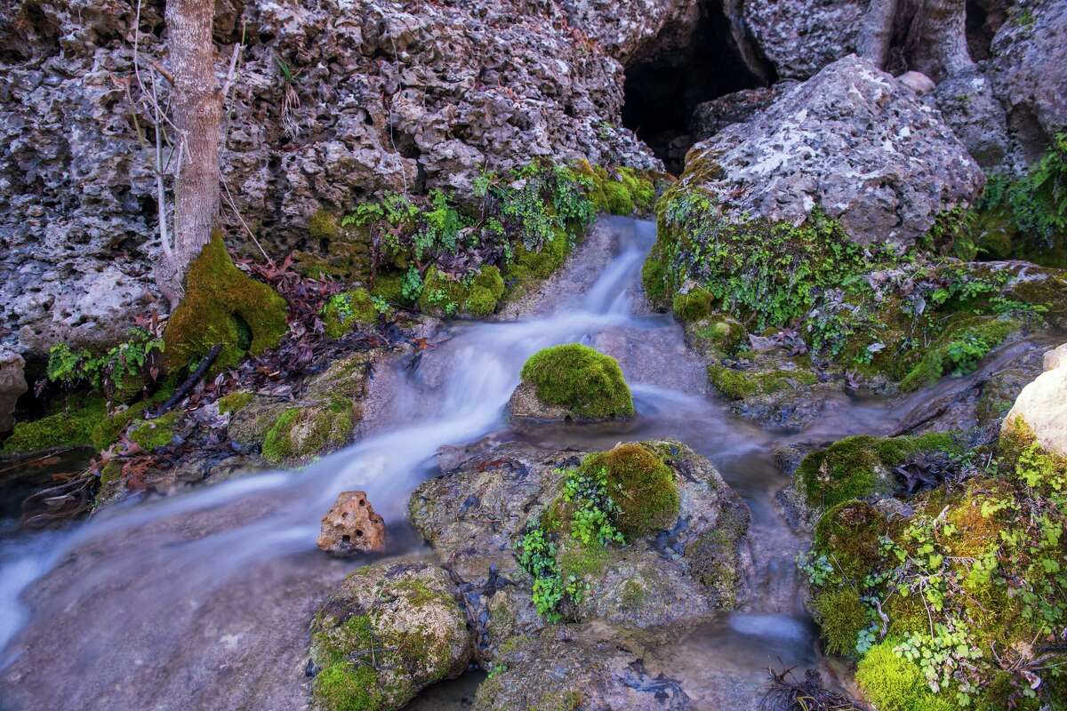 In 1981, TNC acquired 1,825 acres in Comal County, which were transferred in 1985 to TPWD to create the 2,294-acre Honey Creek State Natural Area.