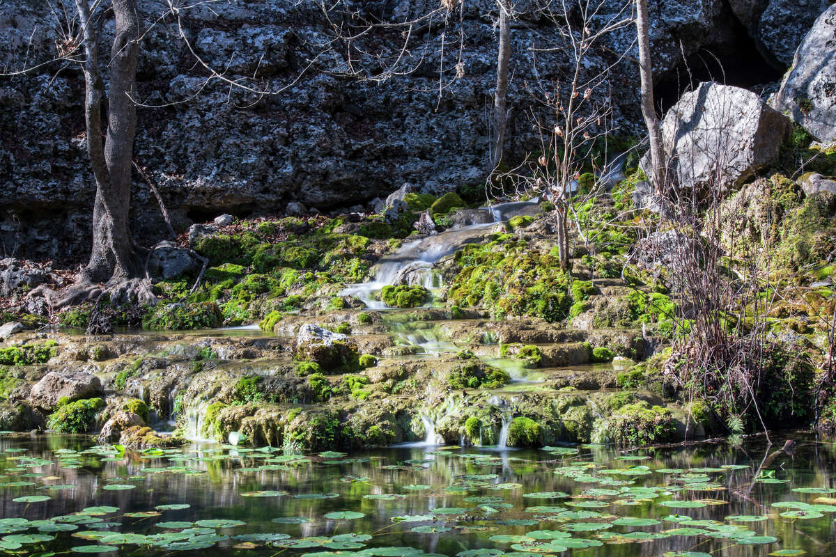 Owned and operated by Moore’s family since its inception in 1871, Honey Creek Spring Ranch has long served as a site of ecological importance.