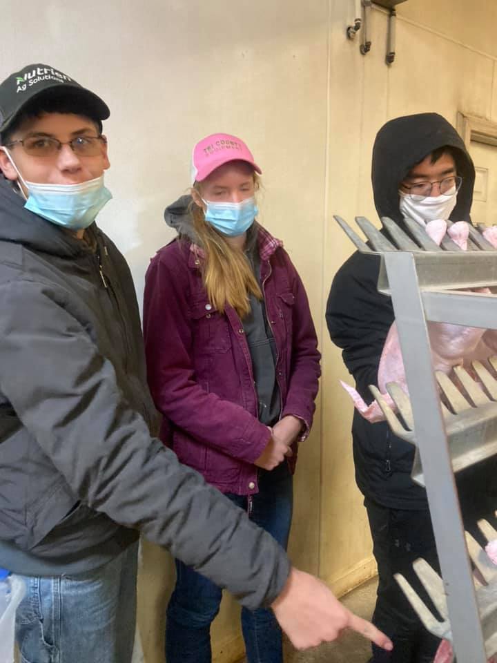 Bad Axe FFA receives Living to Serve Grant for broiler chickens