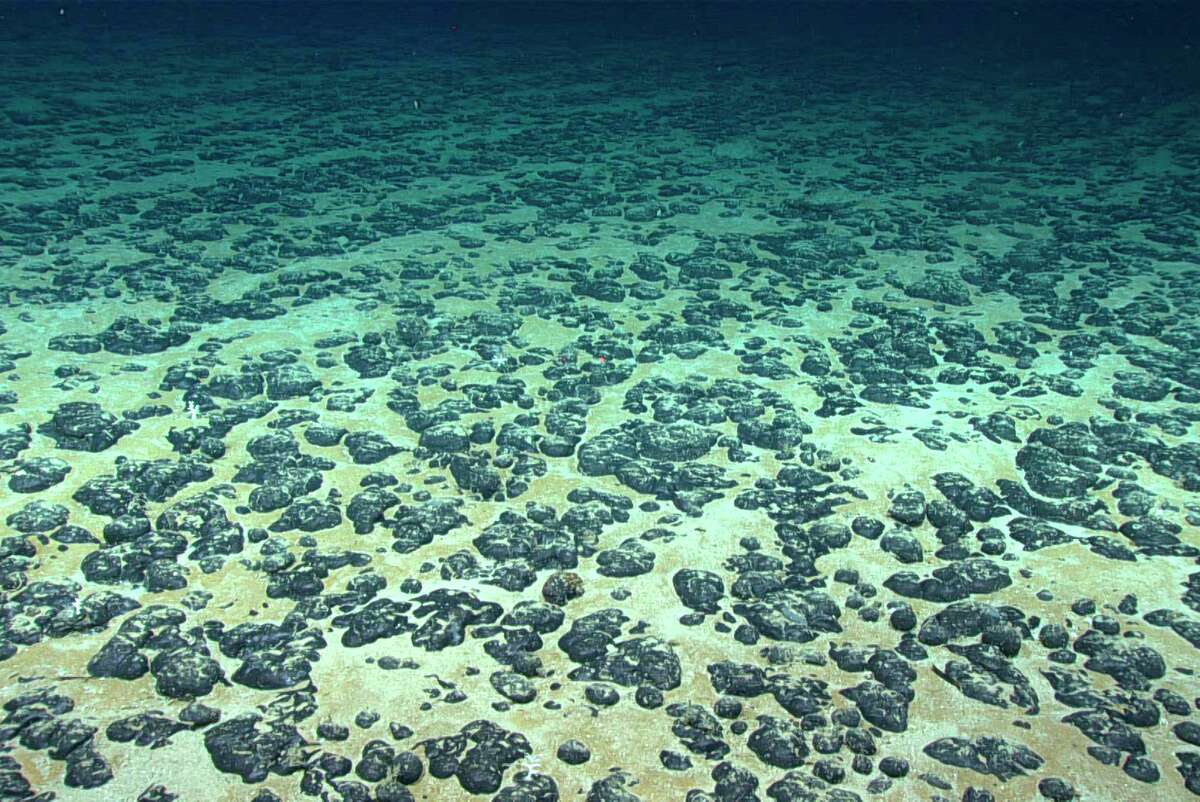 The sea floor, covered with maganese nodules, was photographed during a deep-sea expedition in 2019 conducted by the National Oceanic and Atmospheric Administration off the Southeastern coast of the U.S. New legislation proposes banning seabed mining, which extracts the mineral-rich modules, in California waters.