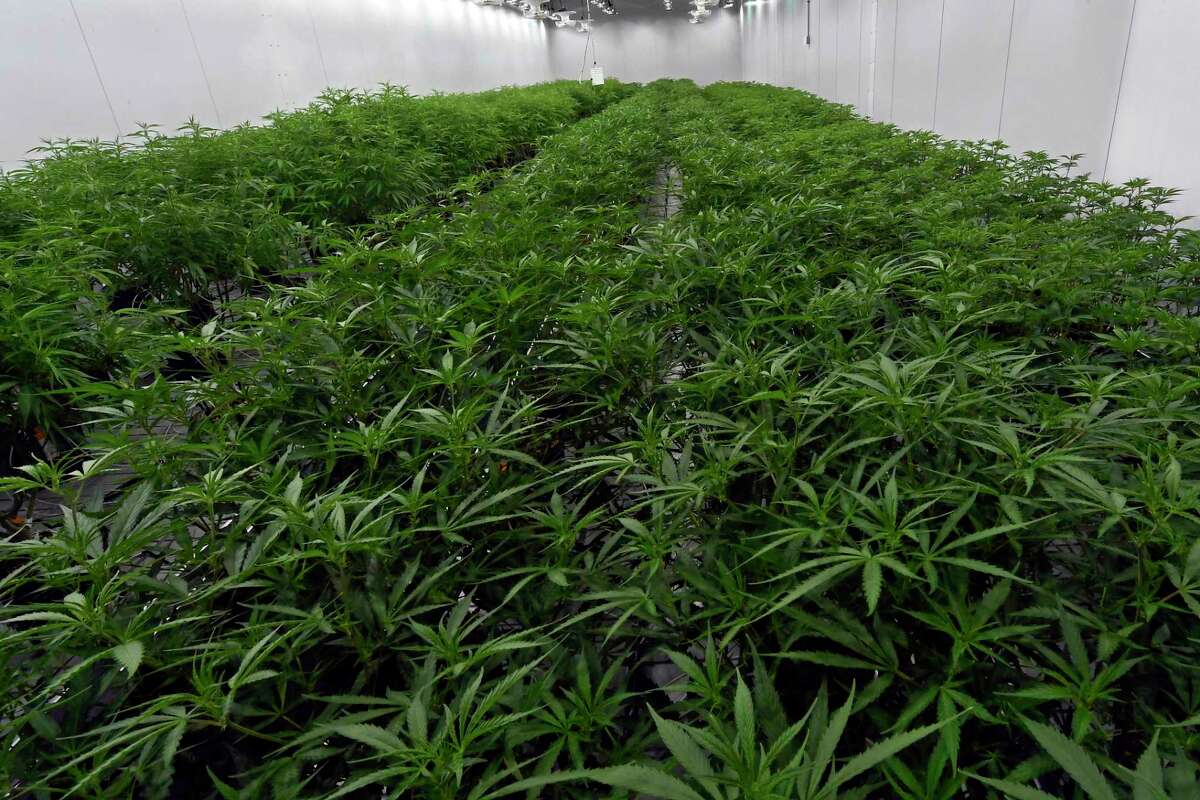 Winsted officials, residents discuss local impact of cannabis law